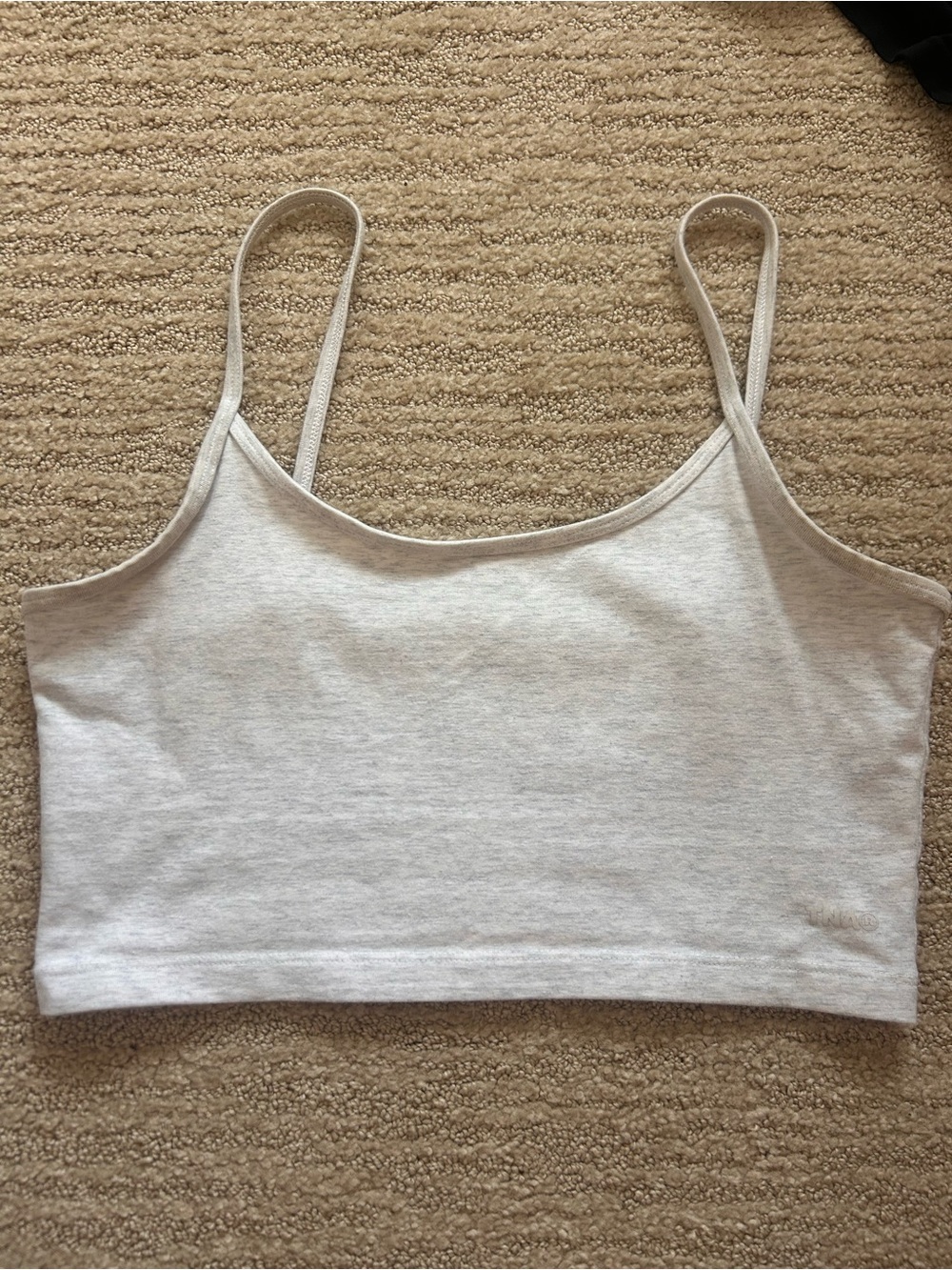Aritzia Tna Karelis Crop tank in Light Gray